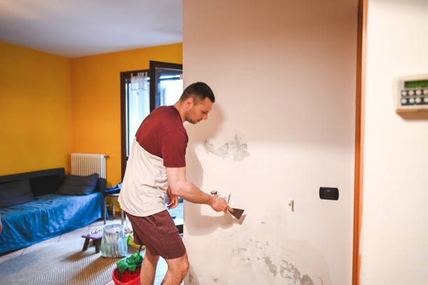 Best Toxic Mold Removal  in Rpinteria, CA