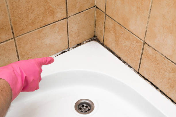 Best Mold Testing  in Rpinteria, CA